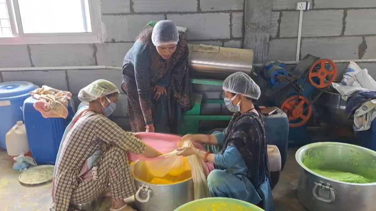 herbal gulal network10